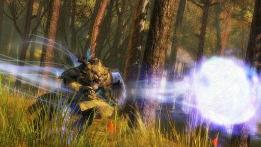 Guild Wars 2 - Meet The Guardian