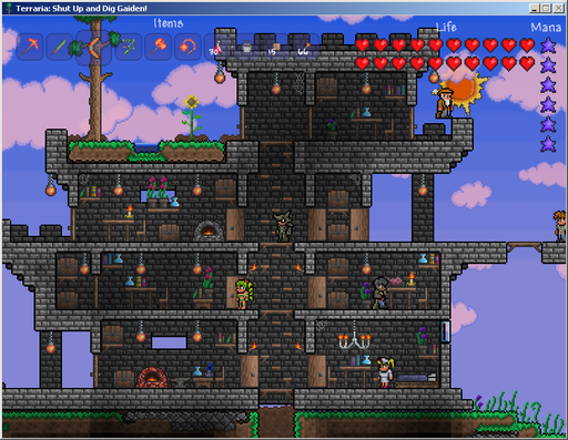 Terraria - А какой у тебя дом?